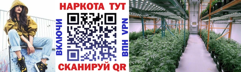 Где купить наркоту Верещагино ГАШ  Псилоцибиновые грибы  МЕФ  Cocaine  Alpha-PVP 
