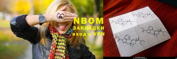 ECSTASY Белокуриха