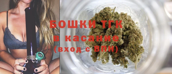 ECSTASY Белокуриха