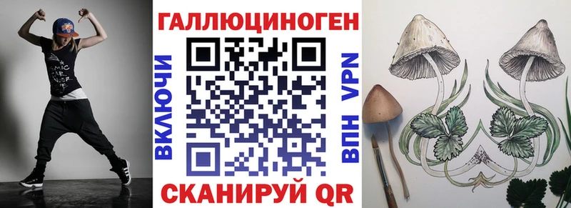Псилоцибиновые грибы GOLDEN TEACHER  где купить наркоту  Верещагино 